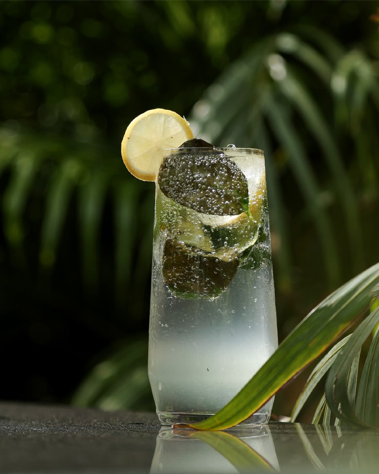 Gourmet culinary experience